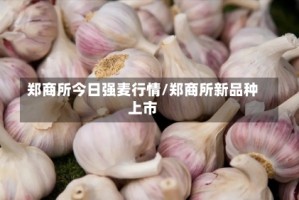 郑商所今日强麦行情/郑商所新品种上市