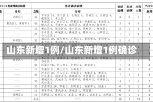 山东新增1例/山东新增1例确诊