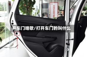 开车门啥歌/打开车门的叫什么