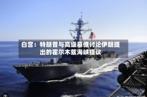 白宫：特朗普与高级幕僚讨论伊朗提出的霍尔木兹海峡提议