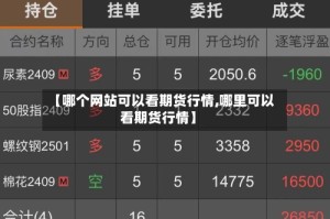 【哪个网站可以看期货行情,哪里可以看期货行情】