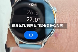 蓝牙车门/蓝牙车门禁卡是什么东西