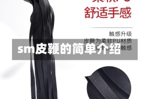 sm皮鞭的简单介绍