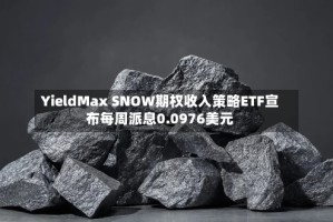 YieldMax SNOW期权收入策略ETF宣布每周派息0.0976美元