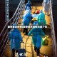 最新重庆疫情(最新重庆疫情封城了吗)