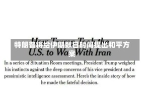 特朗普将给伊朗数日时间提出和平方案