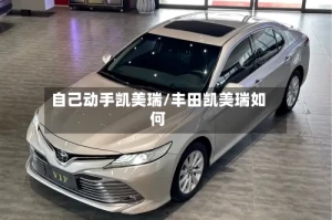 自己动手凯美瑞/丰田凯美瑞如何