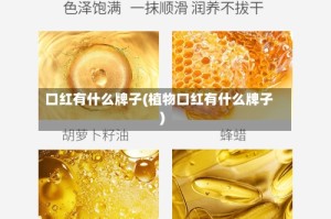 口红有什么牌子(植物口红有什么牌子)