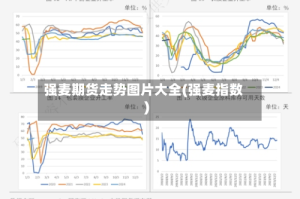 强麦期货走势图片大全(强麦指数)