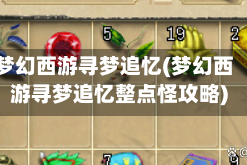 梦幻西游寻梦追忆(梦幻西游寻梦追忆整点怪攻略)