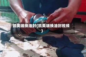 凯美瑞换油封(凯美瑞换油封视频)