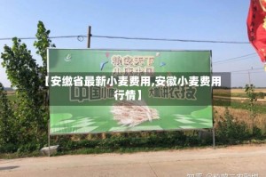 【安缴省最新小麦费用,安徽小麦费用行情】