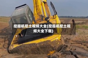 挖掘机挖土视频大全(挖掘机挖土视频大全下载)