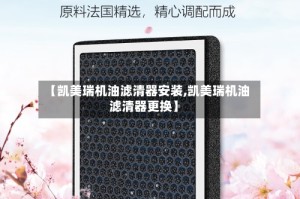 【凯美瑞机油滤清器安装,凯美瑞机油滤清器更换】