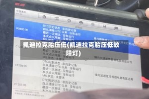凯迪拉克胎压低(凯迪拉克胎压低故障灯)