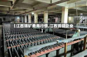 【江西锡矿费用行情,江西锡锭企业】