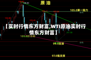 【实时行情东方财富,WTI原油实时行情东方财富】