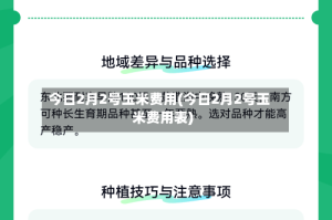 今日2月2号玉米费用(今日2月2号玉米费用表)