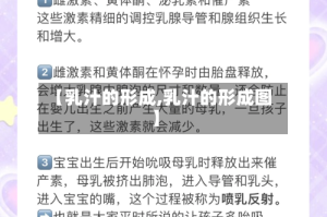 【乳汁的形成,乳汁的形成图】