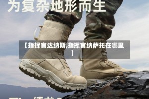 【指挥官达纳斯,指挥官纳萨托在哪里】