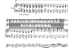 贝多芬d大调小提琴协奏曲(穆特贝多芬d大调小提琴协奏曲)