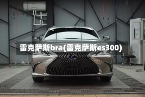 雷克萨斯bra(雷克萨斯es300)
