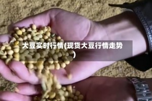 大豆实时行情(现货大豆行情走势)