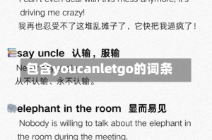 包含youcanletgo的词条