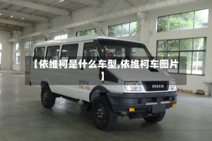 【依维柯是什么车型,依维柯车图片】