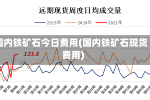 国内铁矿石今日费用(国内铁矿石现货费用)