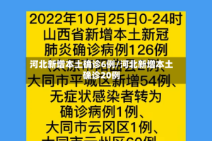 河北新增本土确诊6例/河北新增本土确诊20例