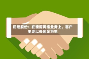 润建股份：在能源网络业务上，客户主要以央国企为主