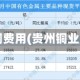贵州今日铜费用(贵州铜业股票费用)