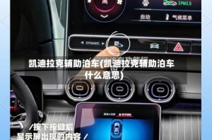 凯迪拉克辅助泊车(凯迪拉克辅助泊车什么意思)