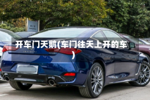 开车门天鹅(车门往天上开的车)