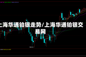 上海华通铂银走势/上海华通铂银交易网