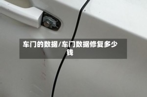 车门的数据/车门数据修复多少钱