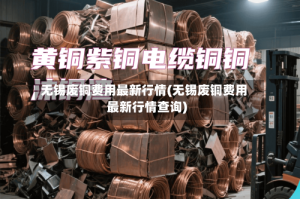 无锡废铜费用最新行情(无锡废铜费用最新行情查询)