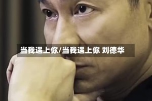 当我遇上你/当我遇上你 刘德华