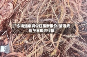 广东清远废铜今日最新报价/清远废铜今日报价行情