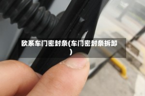 欧系车门密封条(车门密封条拆卸)