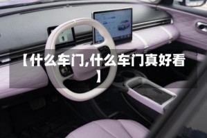 【什么车门,什么车门真好看】