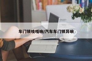 车门锁吱嘎响/汽车车门锁异响