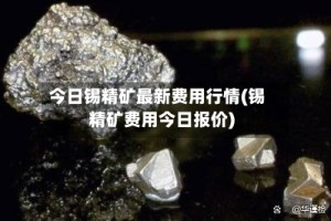 今日锡精矿最新费用行情(锡精矿费用今日报价)