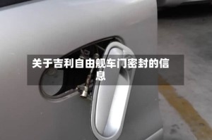 关于吉利自由舰车门密封的信息