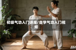 初级气功入门讲座/自学气功入门视频