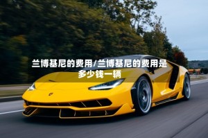 兰博基尼的费用/兰博基尼的费用是多少钱一辆