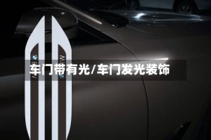 车门带有光/车门发光装饰