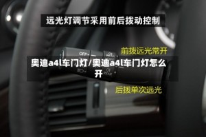 奥迪a4l车门灯/奥迪a4l车门灯怎么开