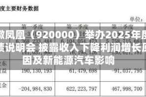 安徽凤凰（920000）举办2025年度业绩说明会 披露收入下降利润增长原因及新能源汽车影响